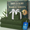 Viscose Derived from Bamboo Queen Sheets Olive - Luxury 6 Pc