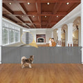 Reinforced 42in Tall Retractable Baby Gate for Dogs - Extra Wide