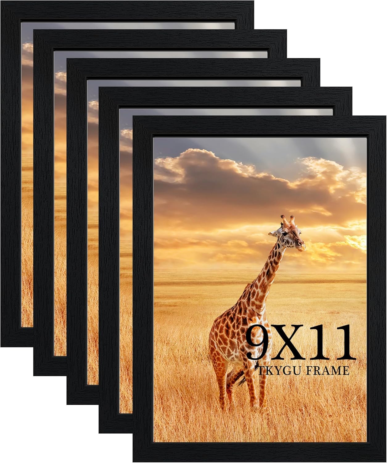 9 x 11 Picture Frame Set of 5 for Stylish Home Decor