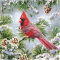 Rustic Christmas Napkins 40 Pk - Disposable Cocktail Paper Design