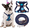 Medium No Pull Dog Harness Polka Dots Starry Sky - Lightweight Fit