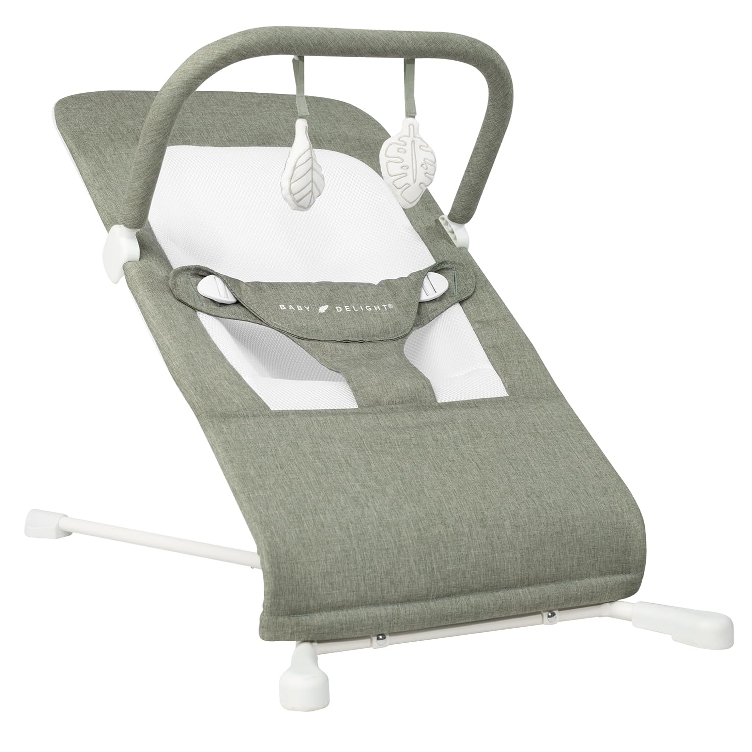 Highland Baby Bouncer for Infants with 3-Position Recline
