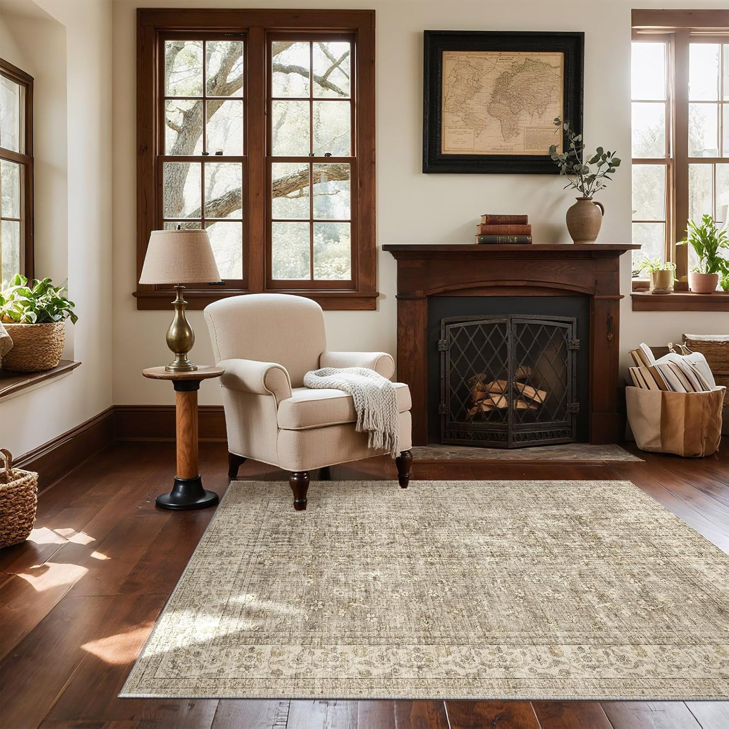 Washable Entryway Small Area Rugs for Indoor Entrance 4x6