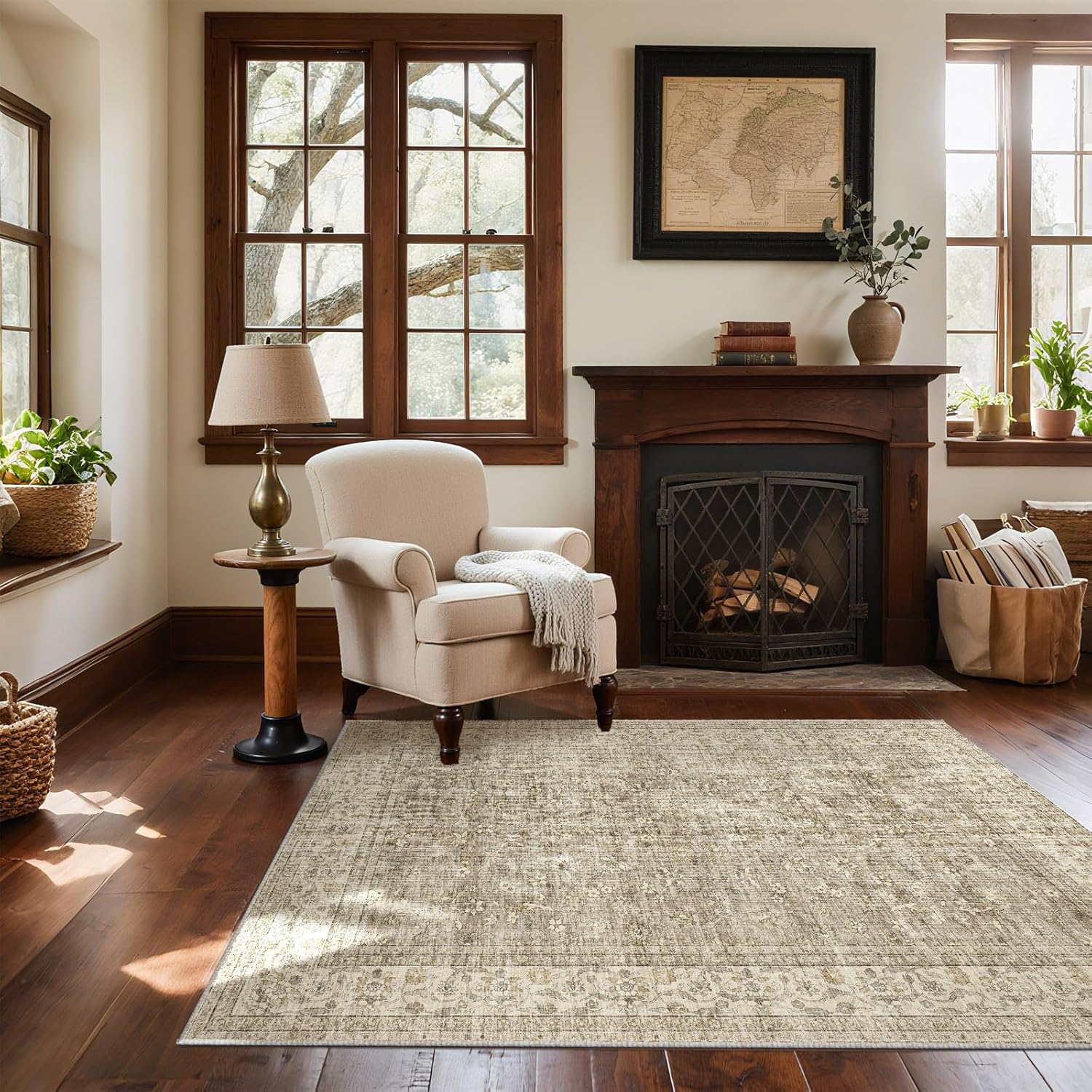 Washable Entryway Small Area Rugs for Indoor Entrance 4x6