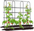 Garden Trellis for Climbing Plants Outdoor 6 ft Arch - Vertical