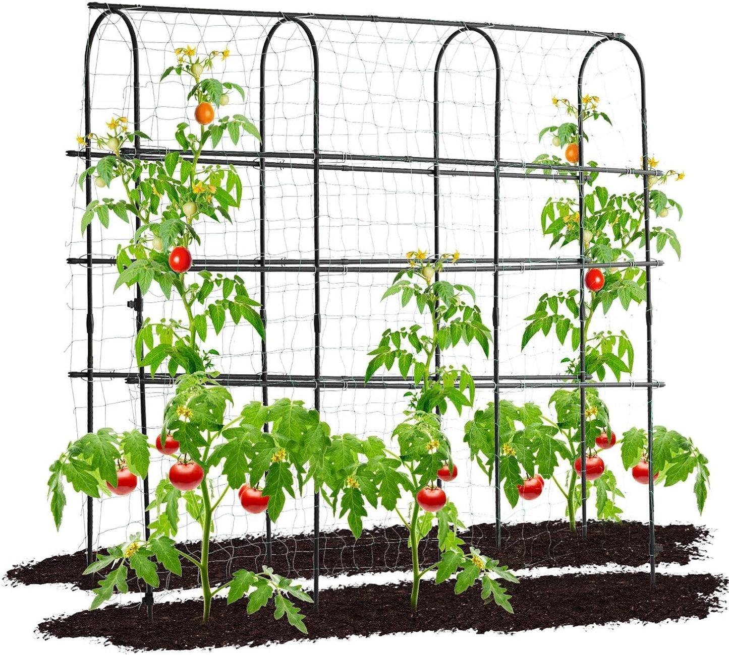 Garden Trellis for Climbing Plants Outdoor, 6 FT Tall Arch