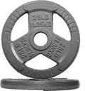 2-Inch Olympic Cast Iron Weight Plate for Home Gym Workouts