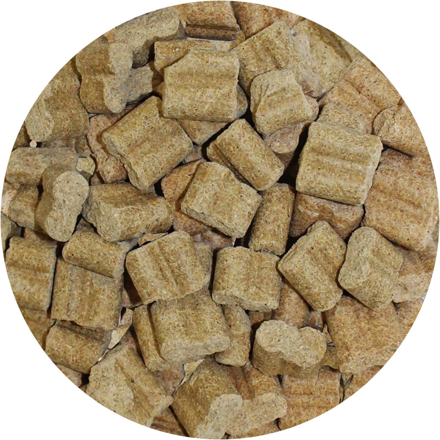 Nutritional Rodent Food Blocks for Rats, Mice, Squirrels, Degus
