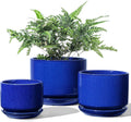 LE TAUCI Ceramic Plant Pots Set of 3 with Drainage Holes