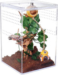 NANEEZOO Magnetic Acrylic Reptile Cage for Tarantula and Scorpion