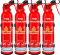 Leyanny Portable Fire Extinguisher for Home and Vehicle