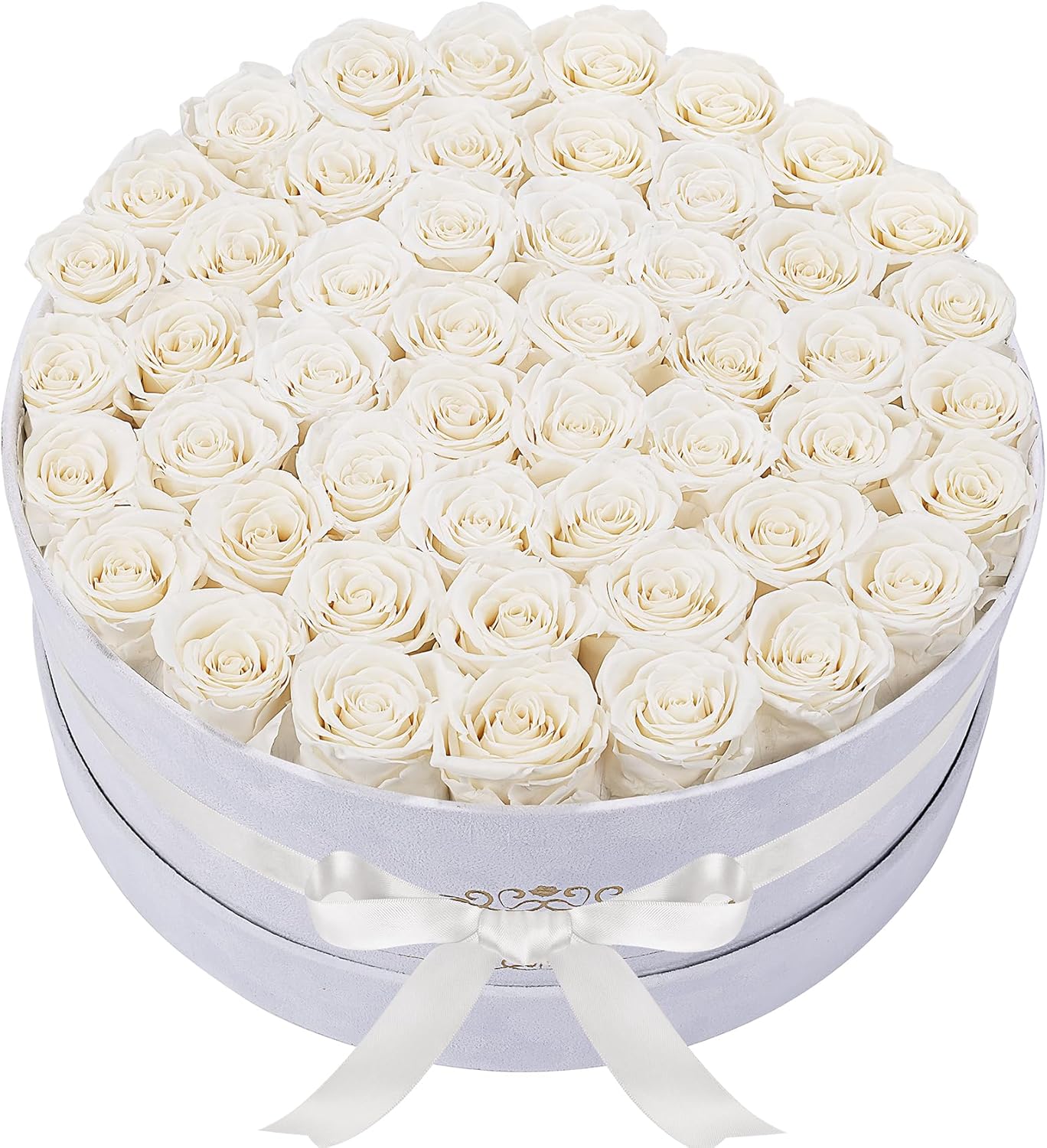 50 Piece Off-White Roses in Velvet Box for Lasting Memories