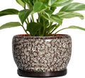 Ceramic Planter 8 in Round White Pot - Modern Indoor Planter