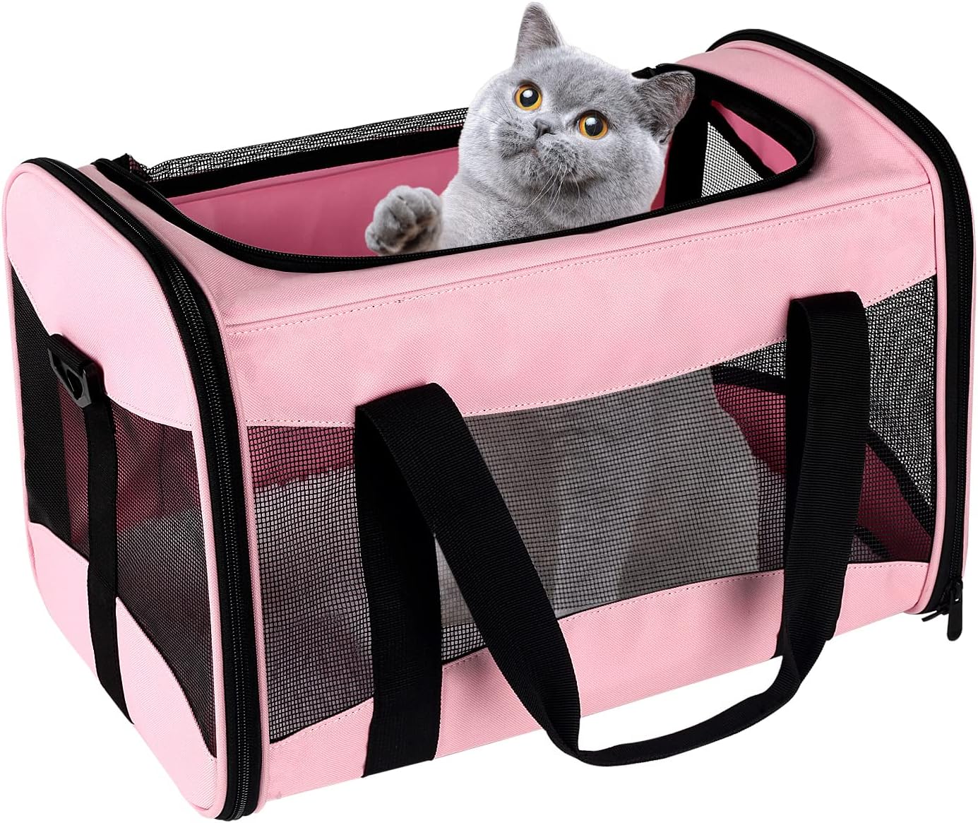Top Tasta Cat Carrier for Large Dogs and Cats up to 30Lbs