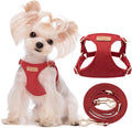 XS No Pull Dog Harness with Multifunction Leash - Red Hawthorn