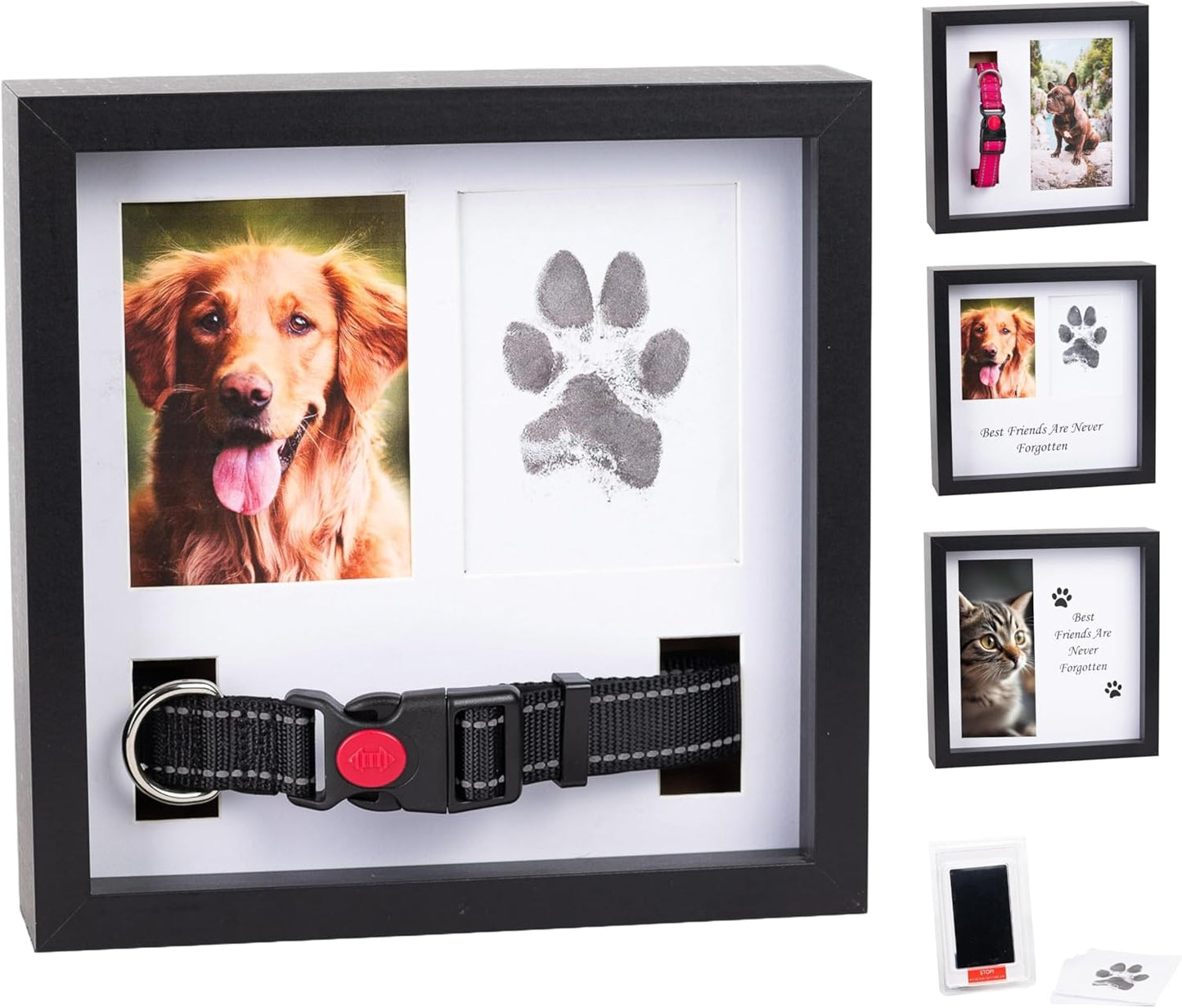 Memorial Picture Frame with Customizable Displays for Pets