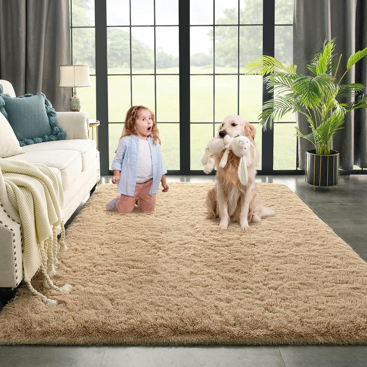 Kimicole 7x10 Large Area Rugs for Living Room and Bedroom