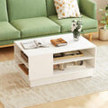 Modern 2-Tier Coffee Table, White, Storage