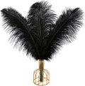 Black Ostrich Feathers 12pcs 20-22in Natural Plumes - Elegant Decor