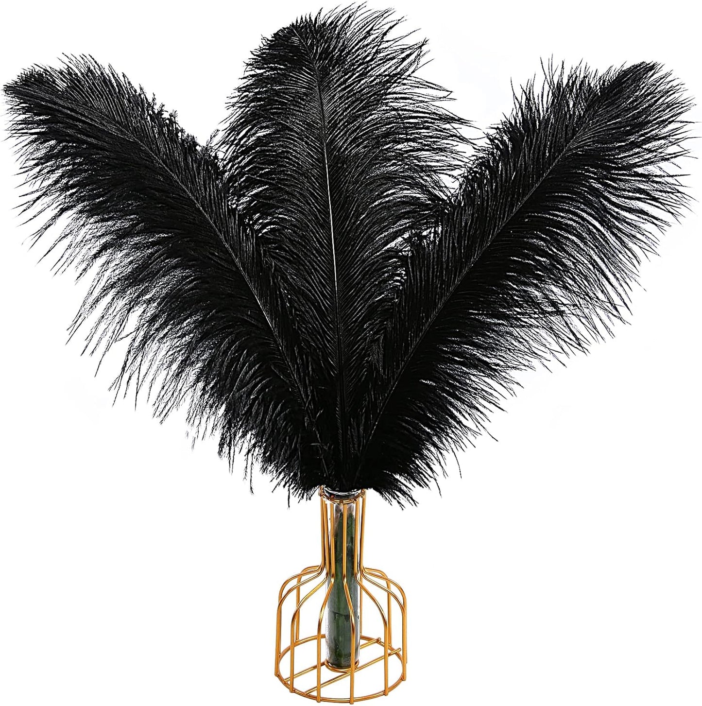 Natural Black Ostrich Feathers for Elegant Home Decor and Events