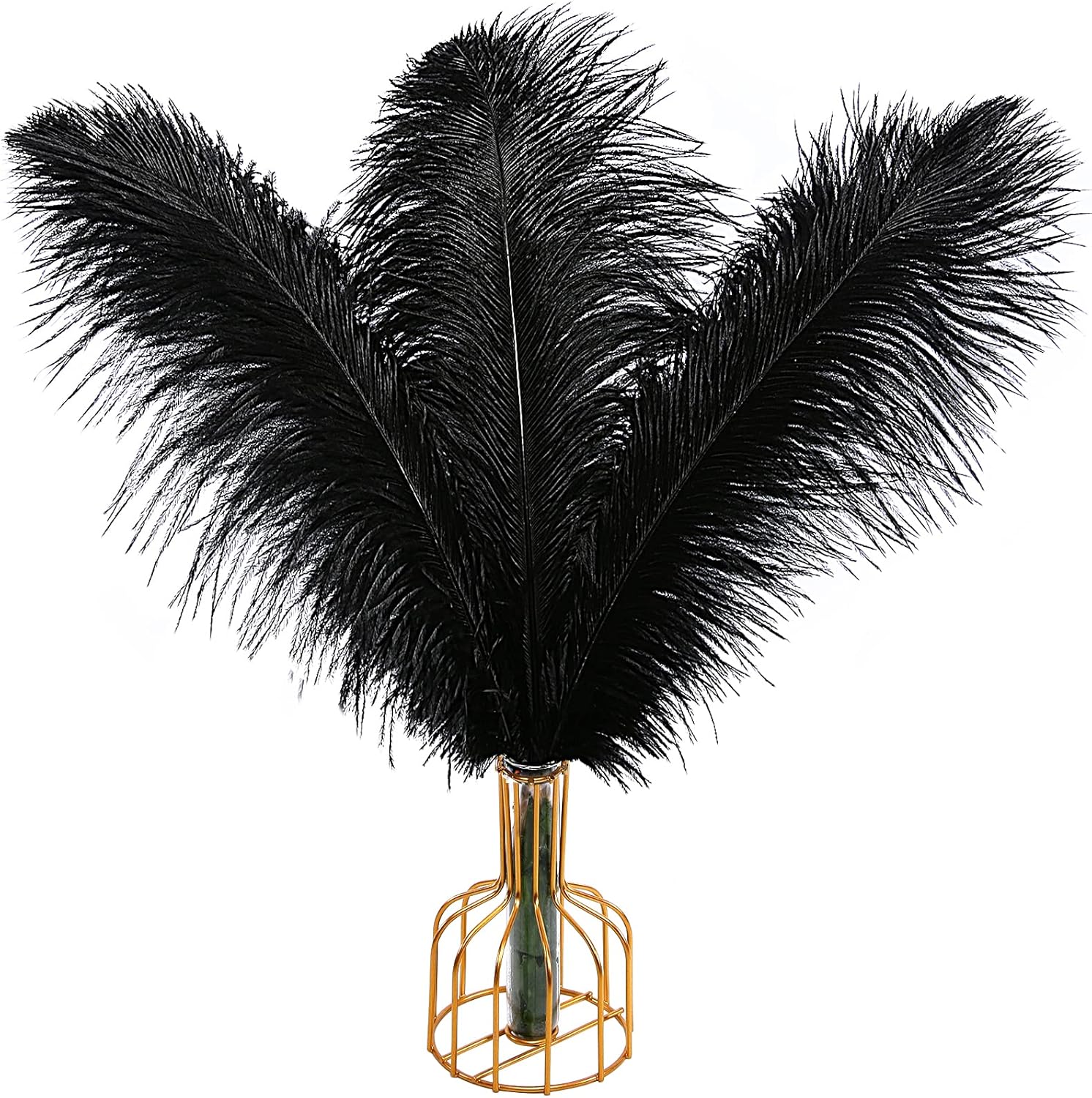 Natural Black Ostrich Feathers for Elegant Home Decor and Events