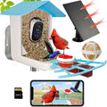 64GB Smart Bird Feeder with Camera Solar Powered - 2K Live Video