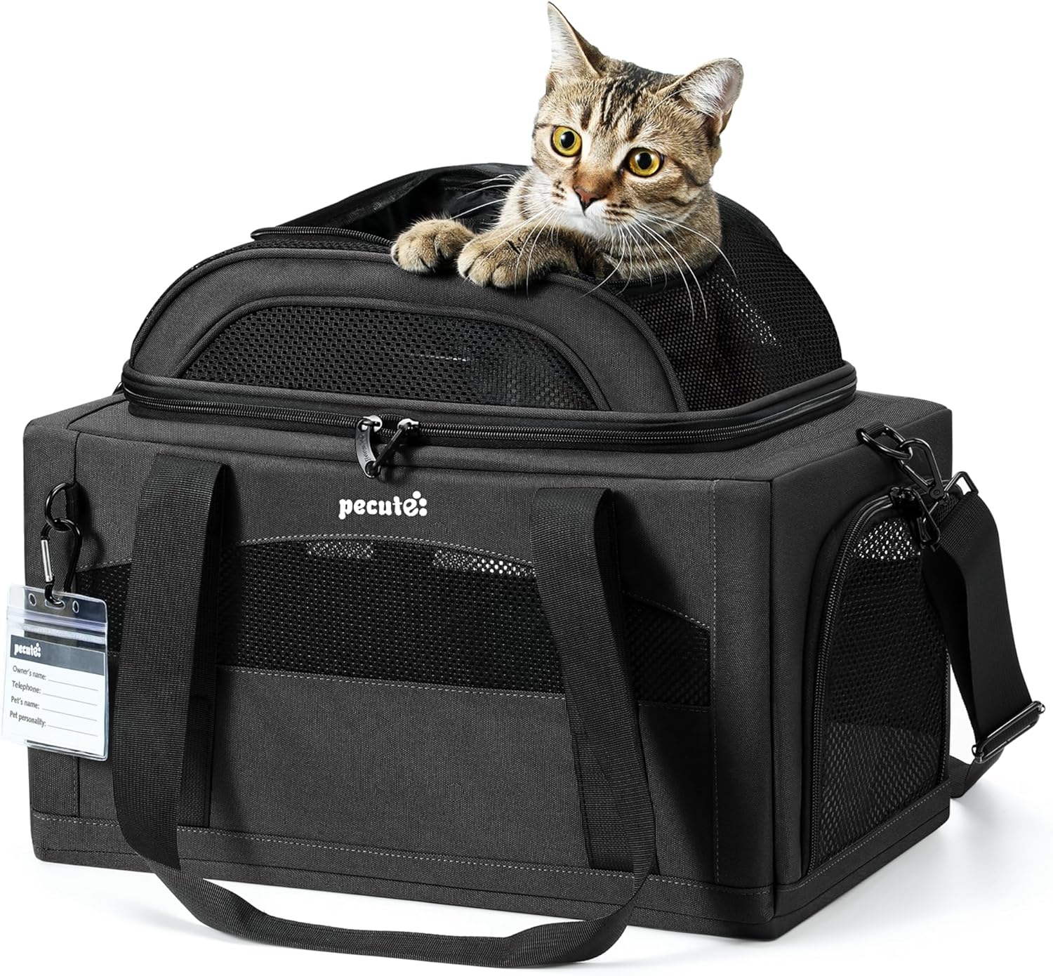 Pecute Expandable Pet Carrier for Small Dogs and Cats Travel