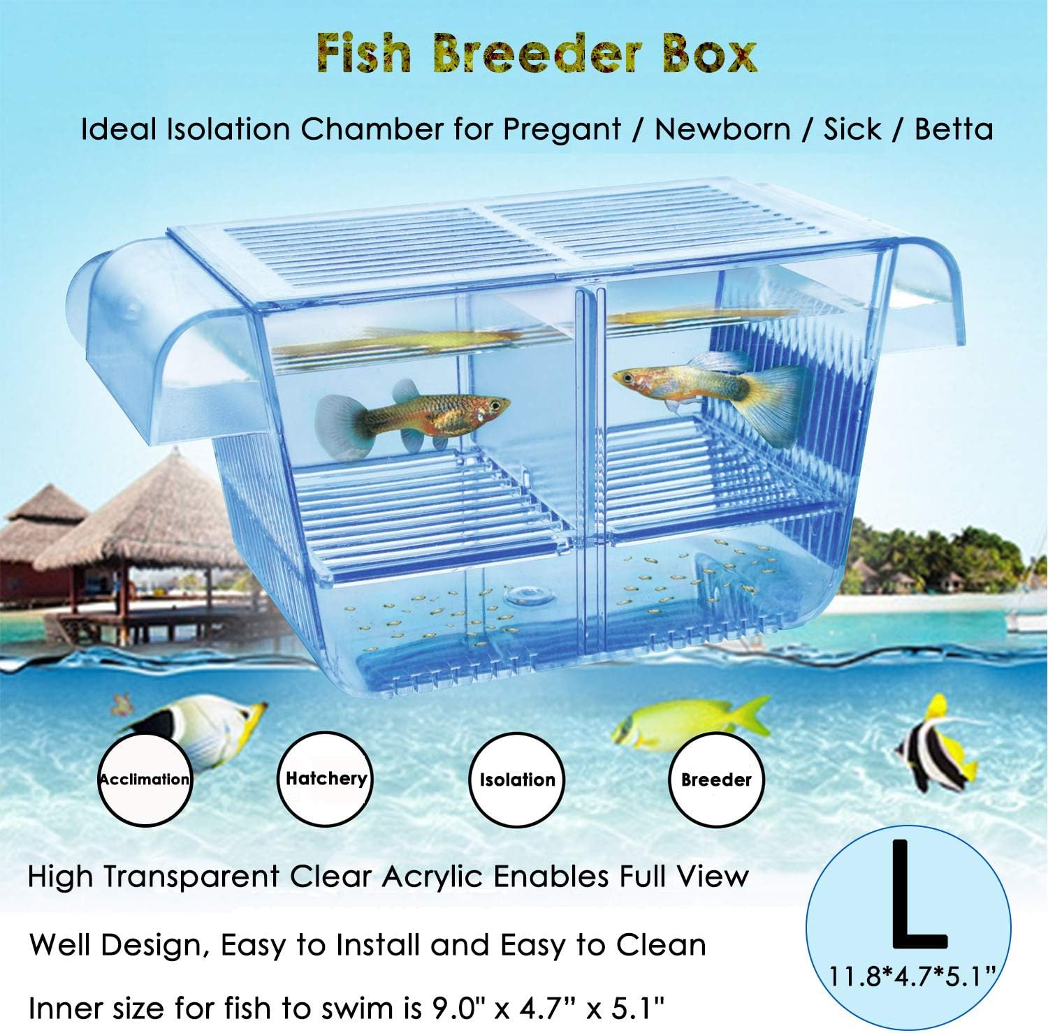 capetsma Fish Breeder Box: Stress-Free Fish Care