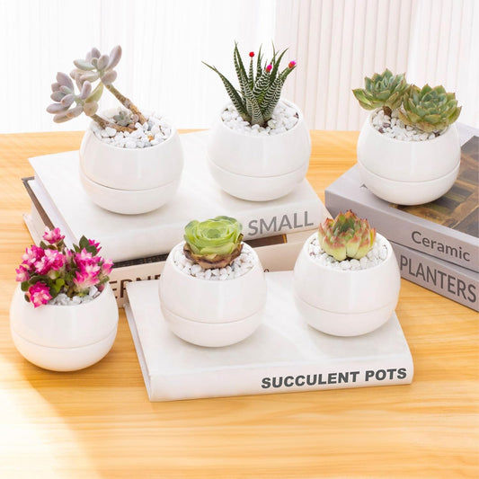 3.5 Inch Cute Porcelain Mini Plant Pots Set for Succulents