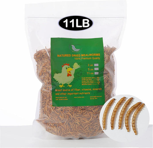 Non-GMO Dried Mealworms for Birds, Hens, Ducks - 11LBs Bulk