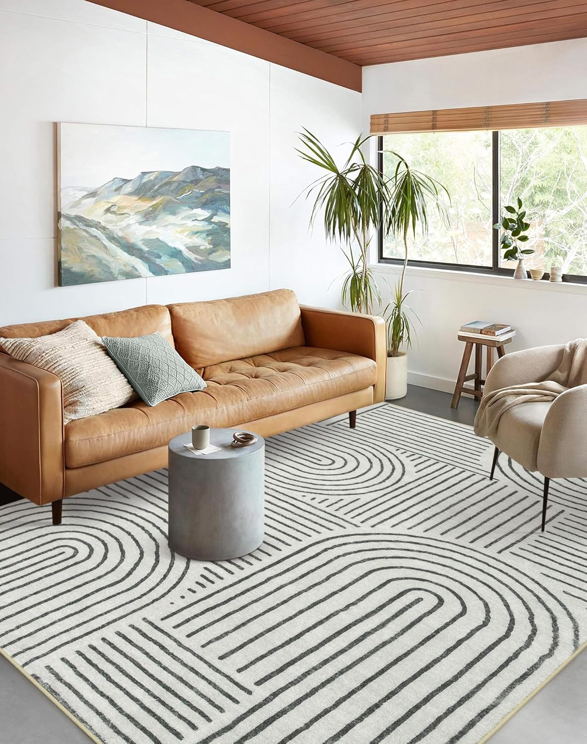 Lahome Abstract Washable 6x9 Rug for Soft Living Room Comfort