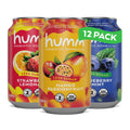 Humm Probiotic Kombucha The Original Variety 12 Pack - Gut Health