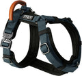 Colorado Nightsky Explorer Dog Harness Size 4 - Y-Shaped Fit