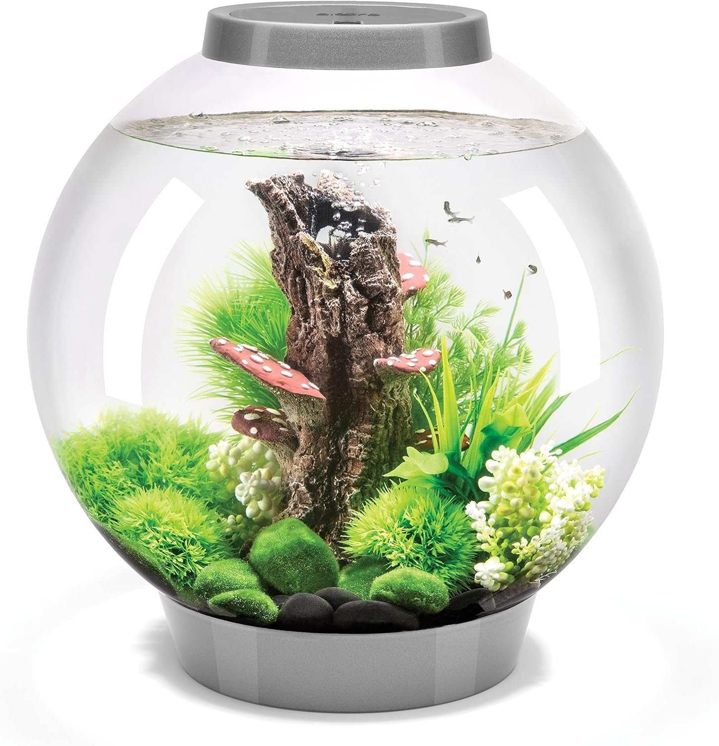 biOrb Classic 30 Acrylic 8-Gallon Aquarium for Tabletop Display