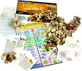 Fossil Collection Sorting Activity Kit - Educational Hands-On Set