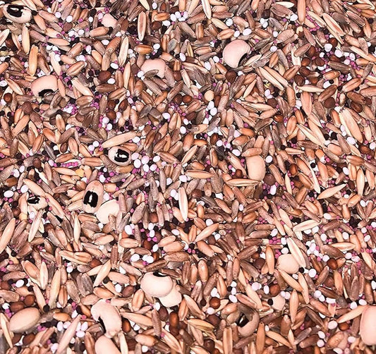 No-Till Cover Crop 10 Seed Mix for Healthy Soil and Forage