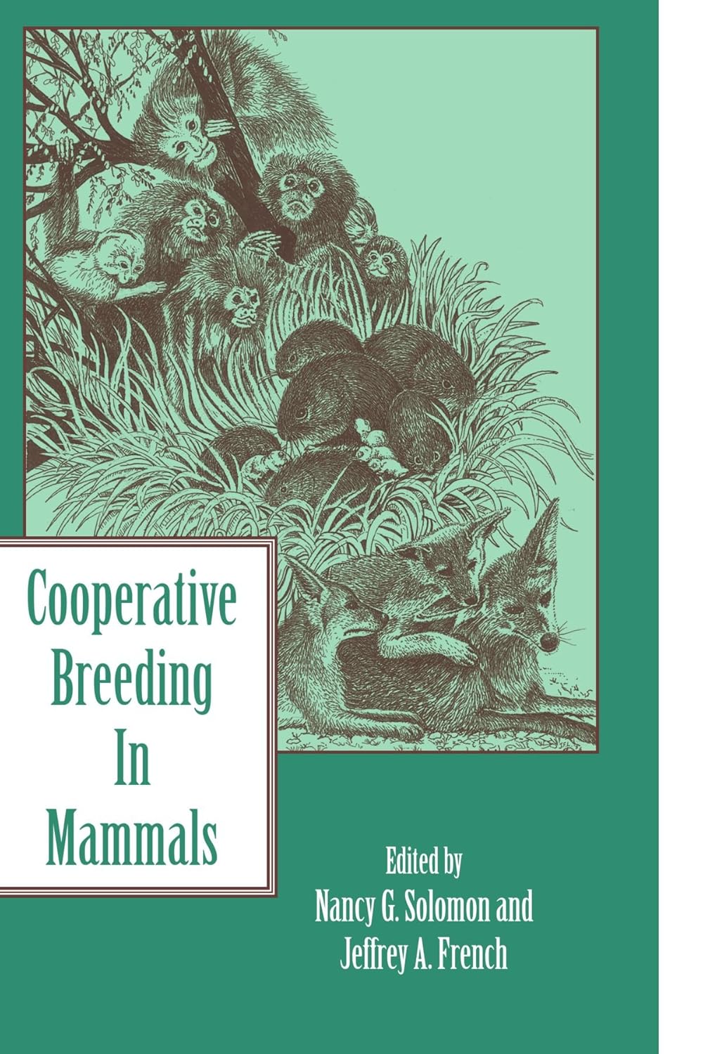 Cooperative Breeding in Mammals: Insights from Solomon and French
