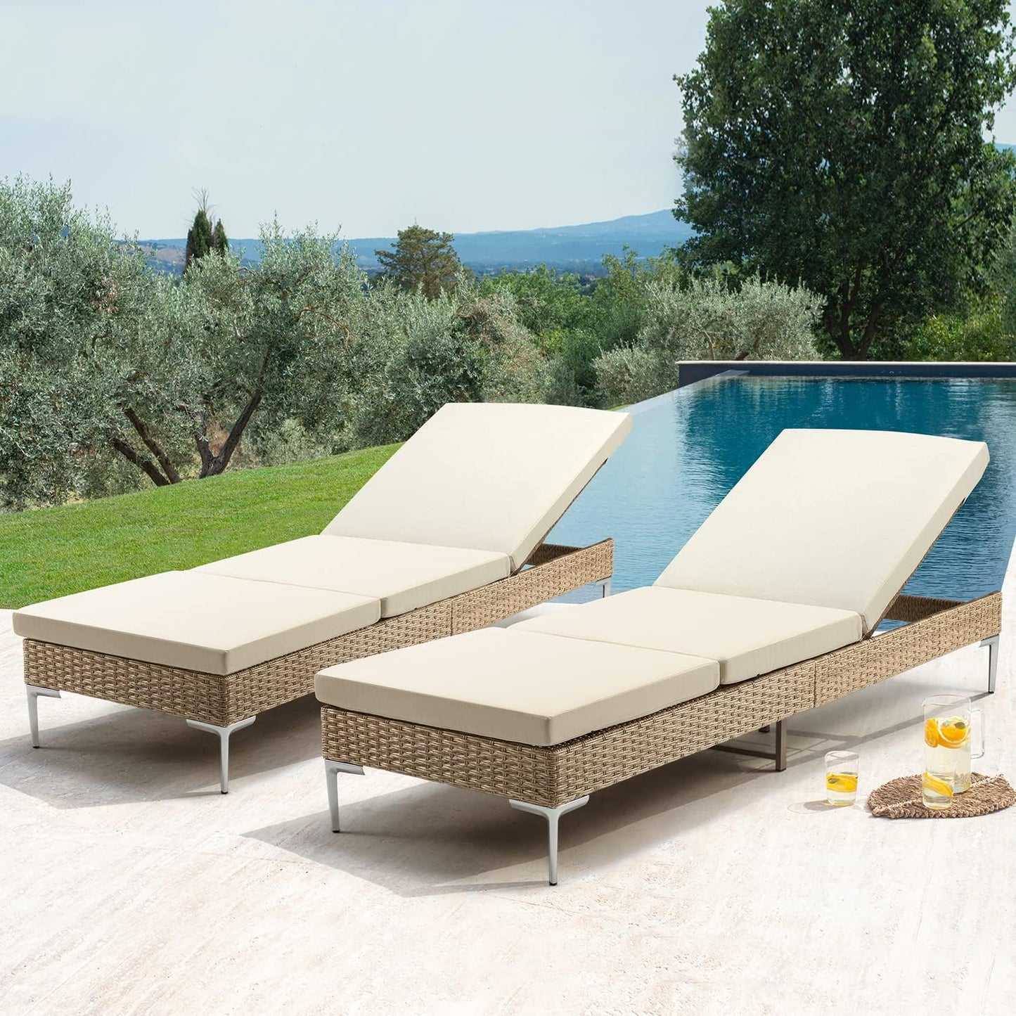 HOMREST Outdoor Chaise Lounge Chair Set of 2 for Relaxation
