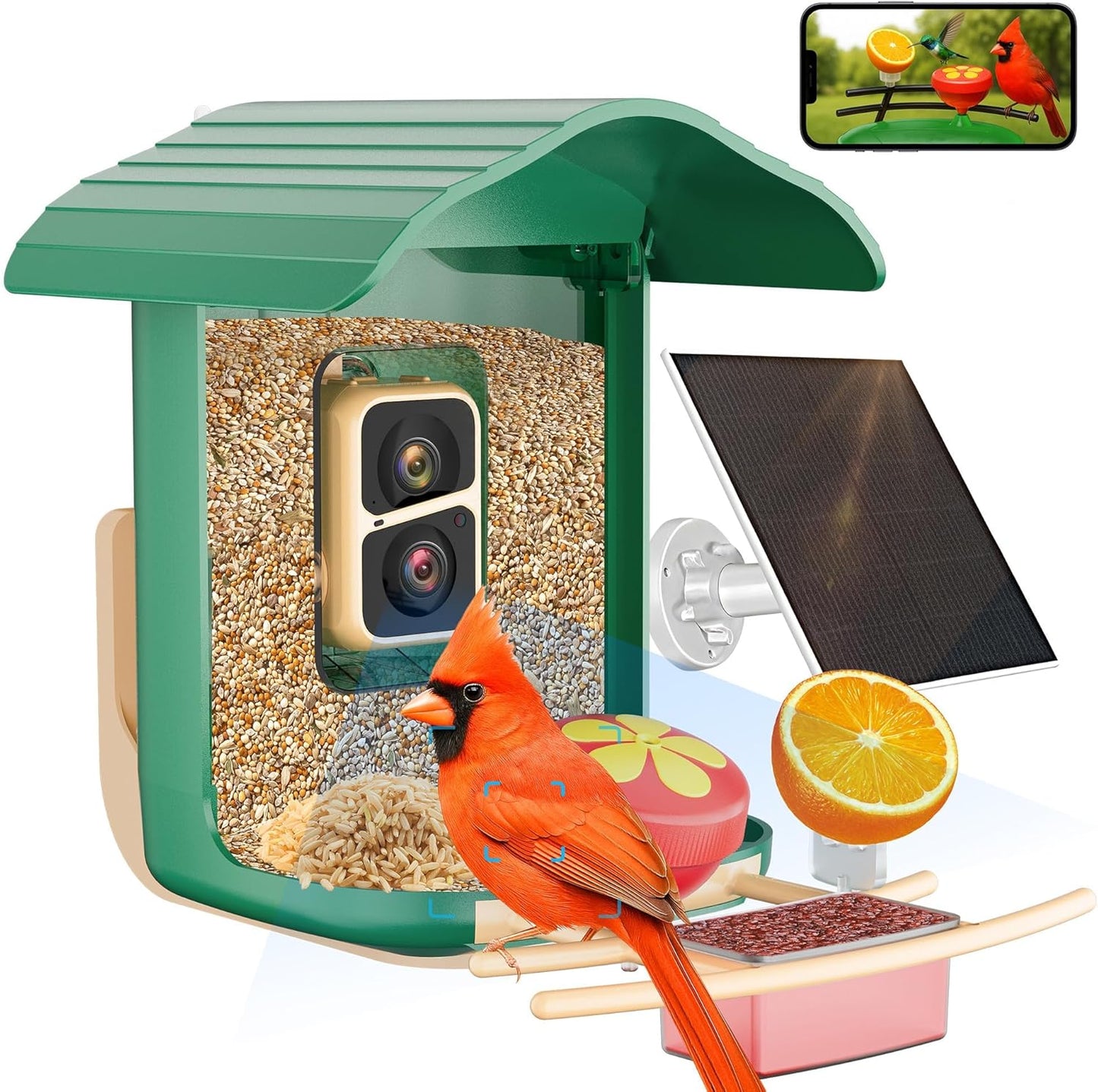 Smart Bird Feeder with Camera for Bird Watching and Identification
