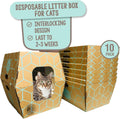 Disposable Cat Litter Box Tray with Enclosed Option - Teal on Natural