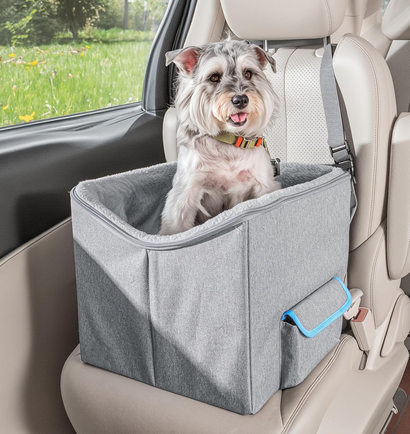 Elevated Dog Car Seat for Small Dogs - Travel Booster Seat