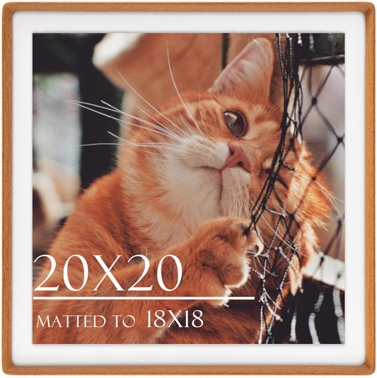 20x20 Square Picture Frame in Natural Teak Wood for Wall Mount