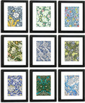 8x10 Picture Frame Set of 9 for 5x7 with Mat or 8x10 Without Mat