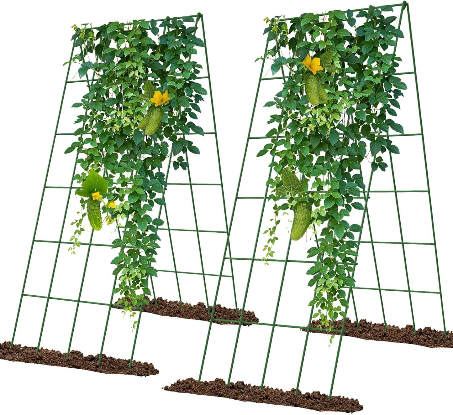 Cucumber Trellis 2 Pack for Raised Bed Garden Support System