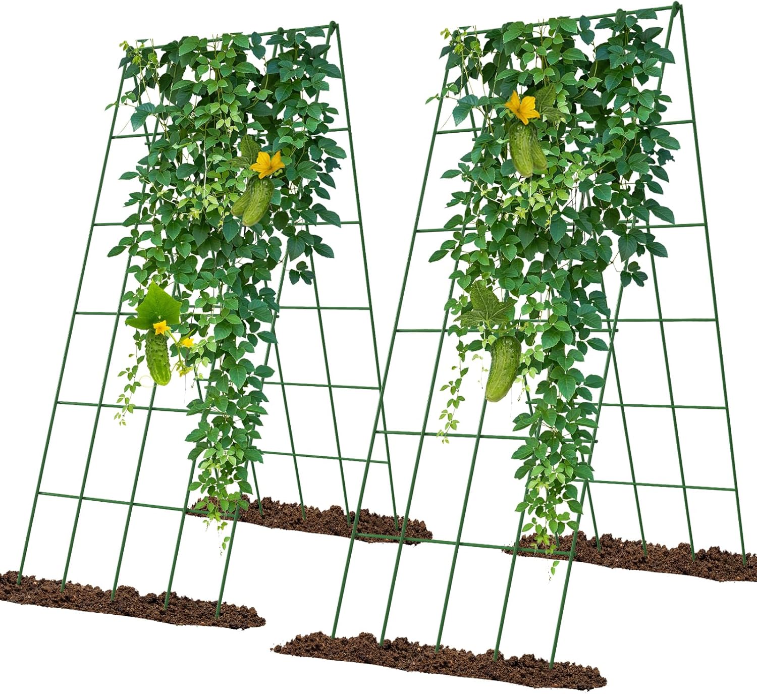 Cucumber Trellis 2 Pack for Raised Bed Garden Support System