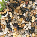 Natural Decorative Stones for Plants and Aquariums - 18-lb Bag