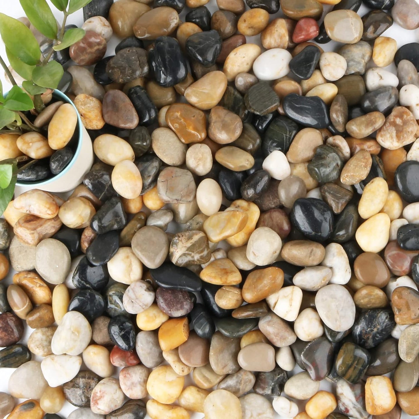 Natural Decorative Stones for Plants and Aquariums - 18-lb Bag