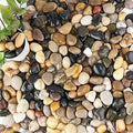 Pebbles for Plants 1-1.5 in 18-lb Bulk Bag - Natural River Rocks