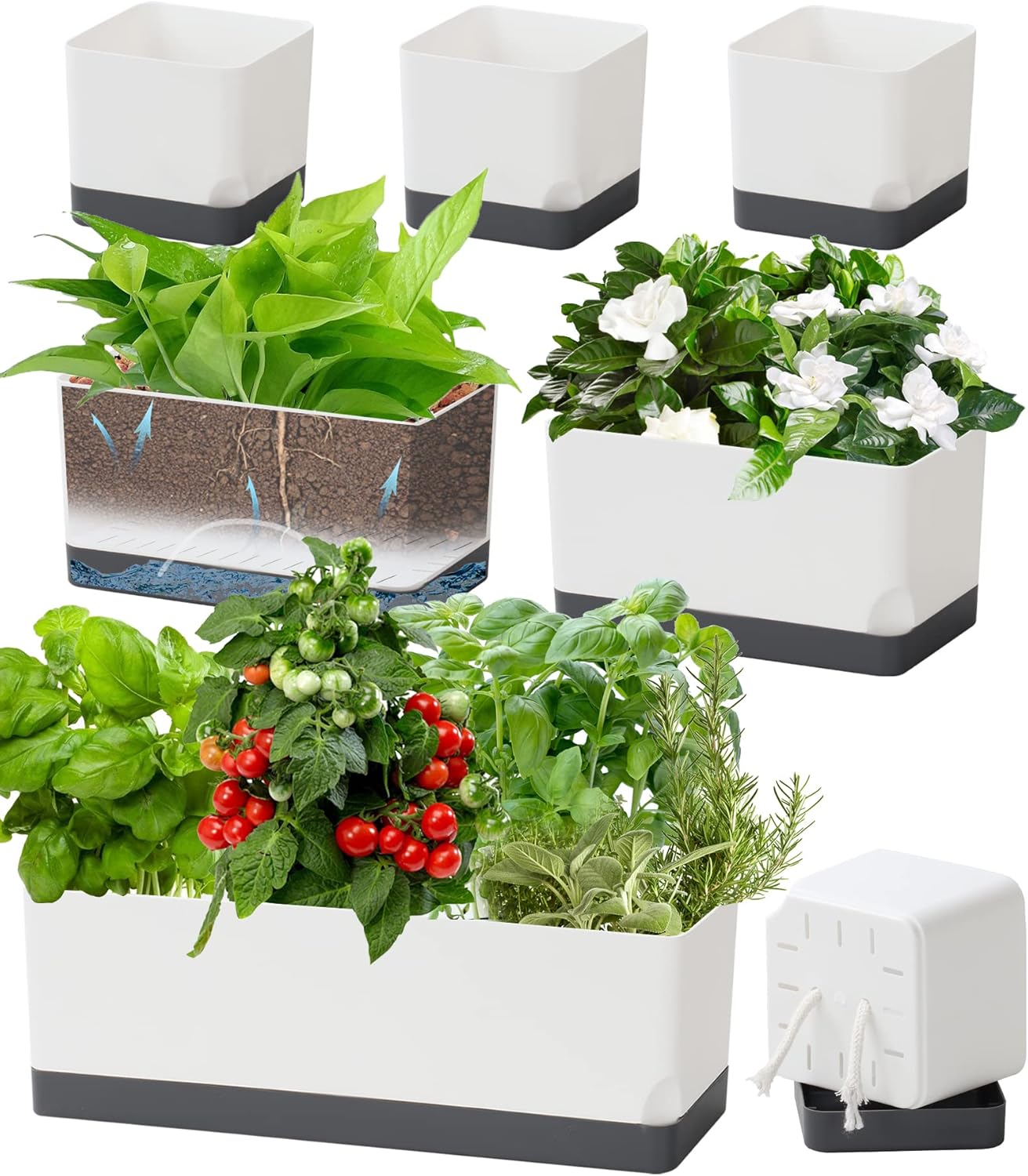 Self Watering Planters for Indoor Plants - 7 Pack Set