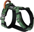 Y-Shaped Dog Harness Size 5 in Oregon Haze - Premium Explorer Fit